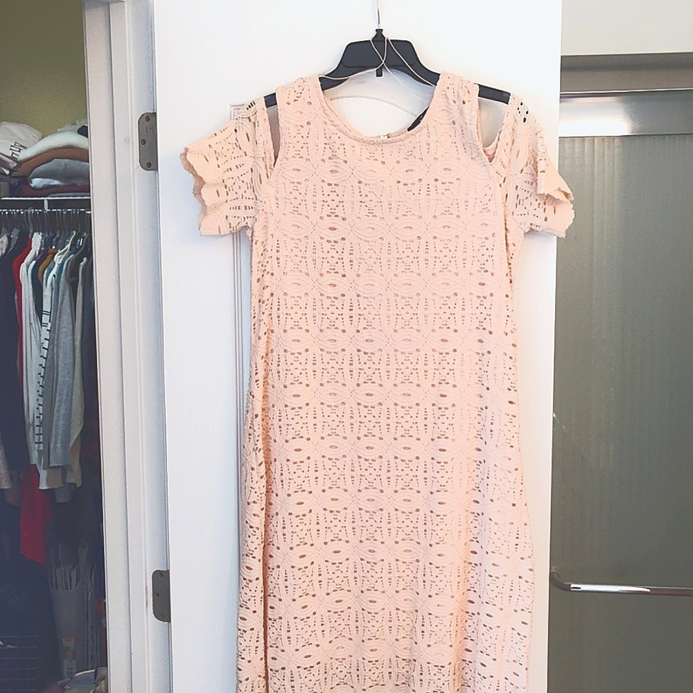 Pink lace sheath dress by Ronni Nicole